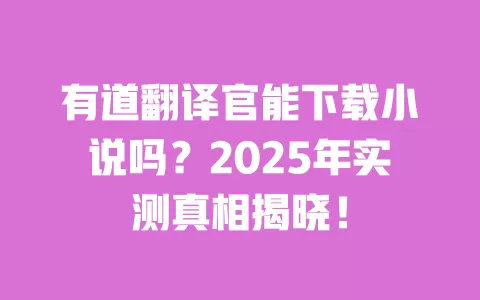 有道翻译官能下载小说吗？2025年实测真相揭晓！ 一