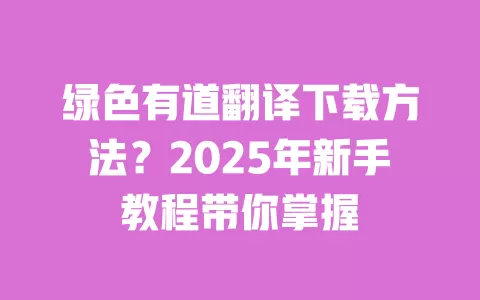 绿色有道翻译下载方法?2025年新手教程带你掌握 一