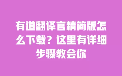 有道翻译官精简版怎么下载?这里有详细步骤教会你 一