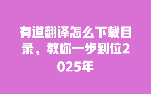 有道翻译怎么下载目录,教你一步到位2025年 一