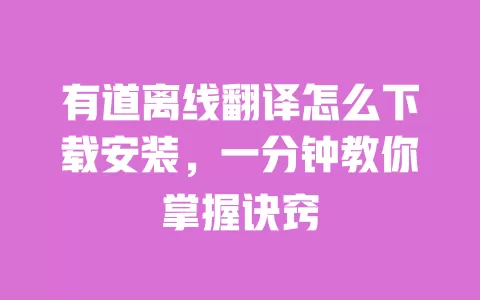 有道离线翻译怎么下载安装,一分钟教你掌握诀窍 一