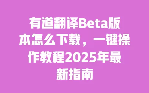 有道翻译Beta版本怎么下载,一键操作教程2025年最新指南 一